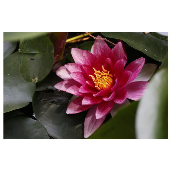 PHOTO84, CLUB, 84 , LUBERON